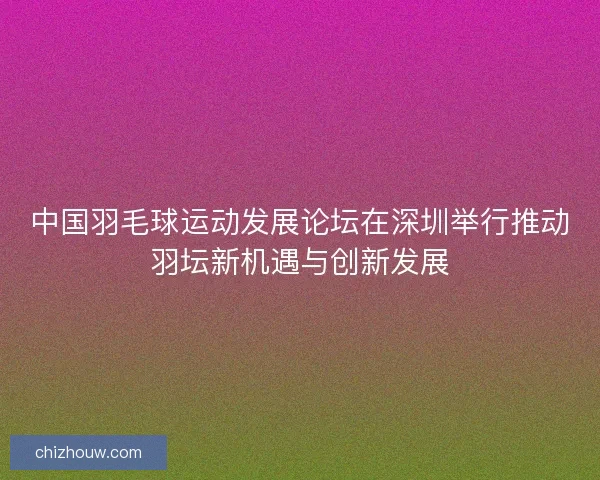 中国羽毛球运动发展论坛在深圳举行推动羽坛新机遇与创新发展