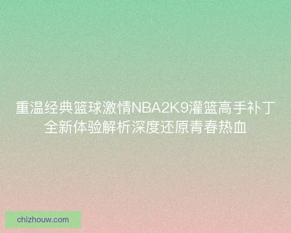 重温经典篮球激情NBA2K9灌篮高手补丁全新体验解析深度还原青春热血